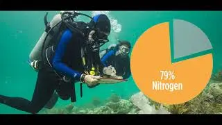 Archaeology Short Takes Underwater Archaeology FPAN SHA Public Day 2021