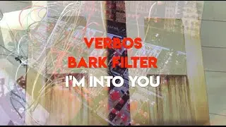 Verbos Bark Filter | Complex Oscillator | Voltage Multistage | Polyphonic Envelope | Desmodus Versio