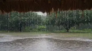 Rain from a Thatched Hut Facing the Forest — Primitive Forest Ambience (10 Hours)