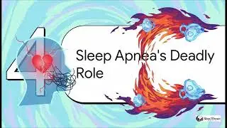 The Sleep-Heart Paradox: Understanding Cardiovascular Risk During Rest