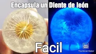Tutorial como encapsular lijar y pulir un Diente de león en resina  bien explicado