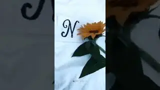 N name love whatsapp status - 