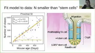 Edward Morrissey: Studying the fixation and spread of mutations in human epithelium