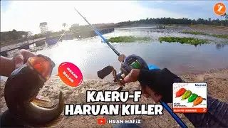 FIELD TEST REVIEW : EXPERT GRAPHITE BLUE CARBON II (KAERU-F HARUAN KILLER)
