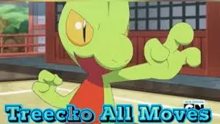 Treecko All Attacks & Moves(Pokemon) #poke