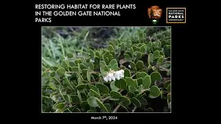IPM Meeting: IPM Strategies to Restore Habitat for Rare Plants in the GGNRA, 3/7/24