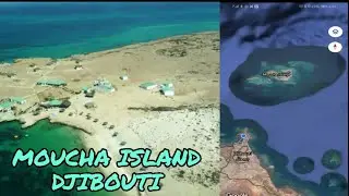 Moucha island djibouti