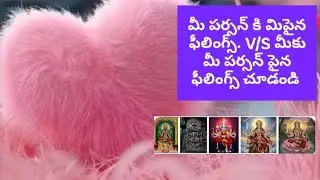 మీకు మీ పర్సన్ పైన ఫీలింగ్స్ v/s మీ పర్సన్ కి మిపైన ఫీలింగ్స్ ఏంటి చూడండి.