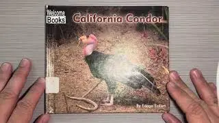 California condor is a nonfiction read aloud for kids