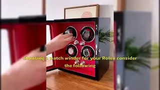 Should I Use A Watch Winder For My Rolex ? A Must-See Guide!
