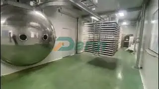 Pet Food Freeze Dryer/Food Freeze Dryer Machine/ Freeze drying lyophilization process for dog food