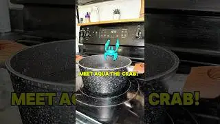 Meet Aqua the Crab! #OTOTO #kitchentools #kitchengadgets #amazonfinds