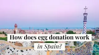 How does egg donation work in Spain? 👇