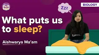 Why is Melatonin called a Sleep Hormone? Melatonin Hormone Functions | BYJU'S Class 9 & 10