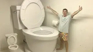Самый большой в мире смыв туалета