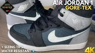 Air Jordan 1 Element￼ Gore-Tex On Feet Review
