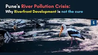 Save Pune Rivers: Mula Mutha Pollution and Riverfront Development Controversy #pune #river