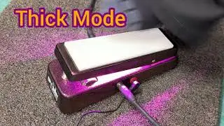 TRUE! Vintage Modern Wah (Thomas Organ Crybaby)