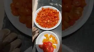 ЛУЧШИЙ СПОСОБ СОХРАНИТЬ СЕМЕНА ТОМАТОВ ДЛЯ СЛЕДУЮЩЕГО СЕЗОНА (СУШИТЬ НА СОЛНЦЕ)