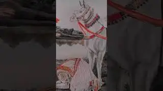 મામલિયા ચારણ ની ખોડીયાર #khodiyar 👇