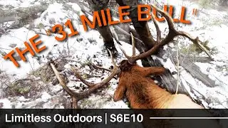 &ldquo;The 31 Mile Bull!!&rdquo; Colorado Elk Hunt Part One | S6E10 | Limitless Outdoors