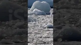 The Blood Falls of Antarctica the whole video is on the channel 😱😱🤯🤯🤯🤯 #westantarctica #antarctica