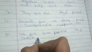 10 Lines Essay on Domestic Animals|| Essay on Domestic Animals in English|| Essay Writing 