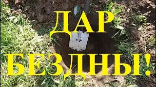 Поиск клада с глубинным металлоискателем Rex Land Craft и интересная находка!