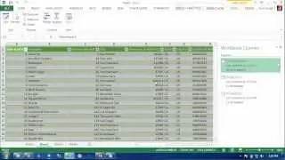 D&B Business Verification and Company Firmographics with Power Query