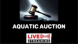 AAA Aquatic Addicts Auction #12!