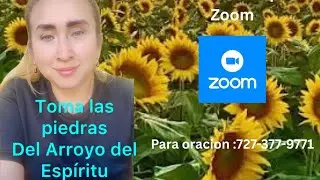 Toma las Piedras del Arroyo 