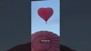 Exploring Qatar Balloon Festival 2024 with SelfDrive.qa | Rent a Car & Discover Qatar 🌟🎈