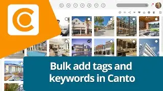 How to bulk add tags and keywords in Canto