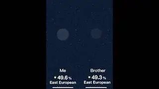 My and my brother&rsquo;s DNA test results - Ukrainian/Baltic-German