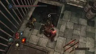 DARK SOULS II - Barrel Carrier Bonus