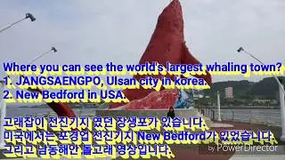 a1. Whaling town as Ulsan & New Bedford. Dolphin in Korea. Hunting whales. Whales museum, trade. Nav