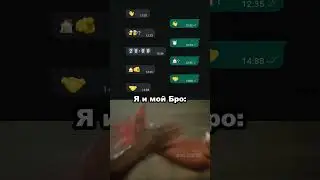 Бро 🤝