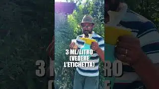 Come dare CALCIO ai POMODORI: concime fogliare bio