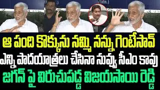 ఆ పంది కొక్కును నమ్మి నన్ను గెంటేసావ్..నువ్వు చచ్చిన సీఎం కావు..జగన్ పై విరుచుపడ్డ విజయసాయి రెడ్డి