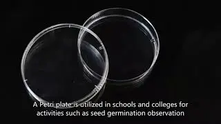 Petri Dish manufacturer,Petri Dish China wholesaler,china factory,customize