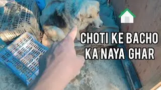 Choti ke bacho ka naya ghar 🛖|notty sujal reaction|