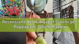 Recensione del Aidiyapet Giochi per Pappagalli, Giochi Pappagallo, giocattolo da masticare colorato,