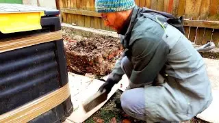 Lada de Compost - Cum Fac Ingrasamant cu Cartoane si Resturi Vegetale