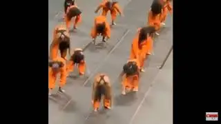 Bad kid mirah and her dance team (read description)