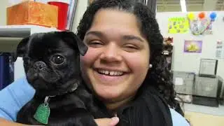 New Horizons Veterinary Science Program