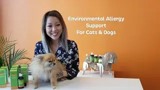 NHV Alge-Ex: Environmental Allergy Support For Cats & Dogs