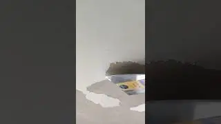 Mist Coat On Plastered Ceiling  A Must?