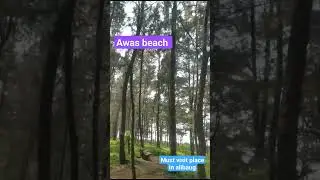 Places to visit near panvel|alibaug| awas beach