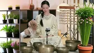 Unleash the Healing Power Within: A Journey with Tibetan Singing Bowls