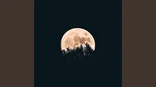 Night Inspiration